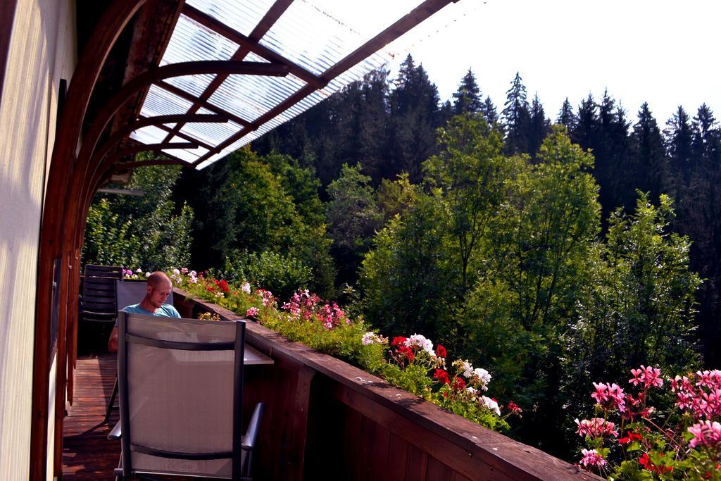 Dellach im DrautalHaus Tonelehof公寓 外观 照片
