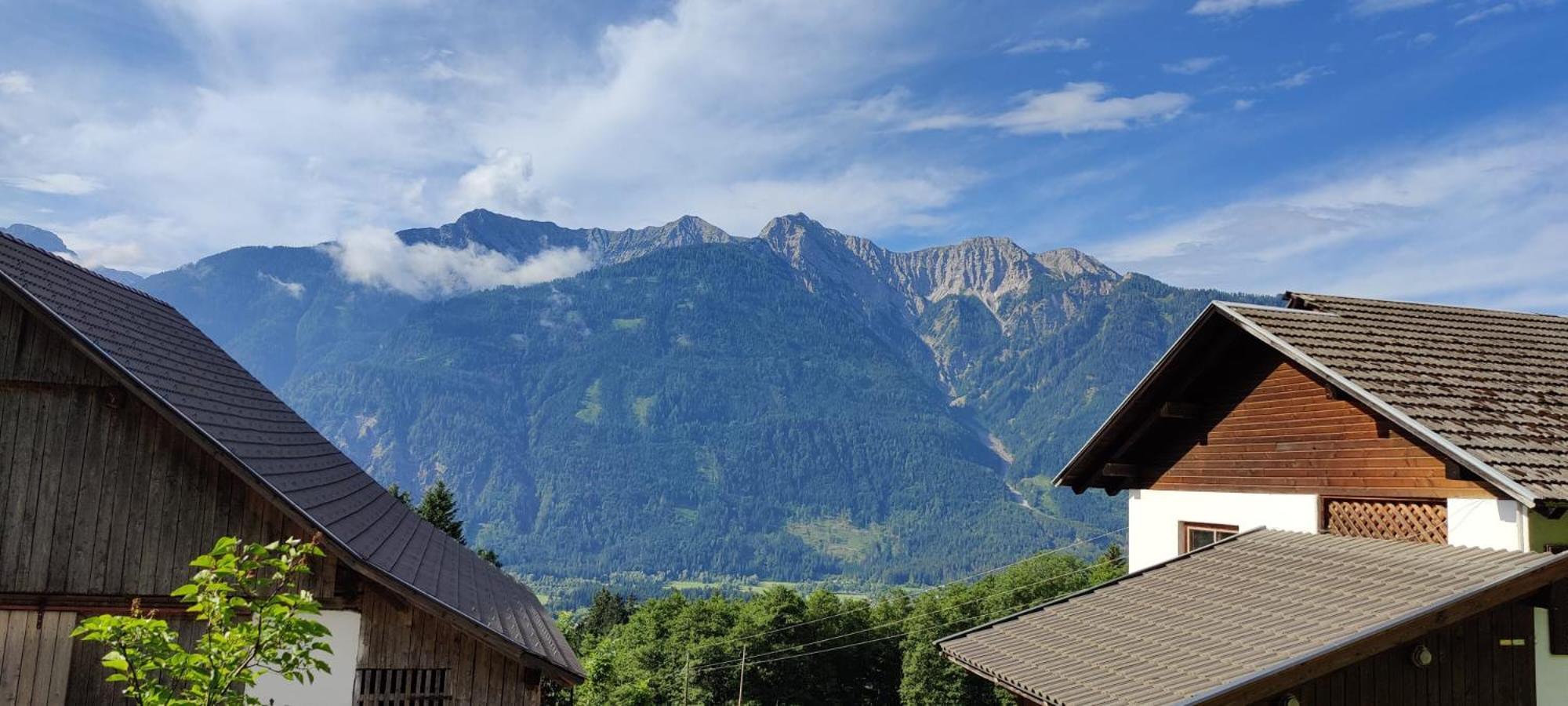 Dellach im DrautalHaus Tonelehof公寓 外观 照片