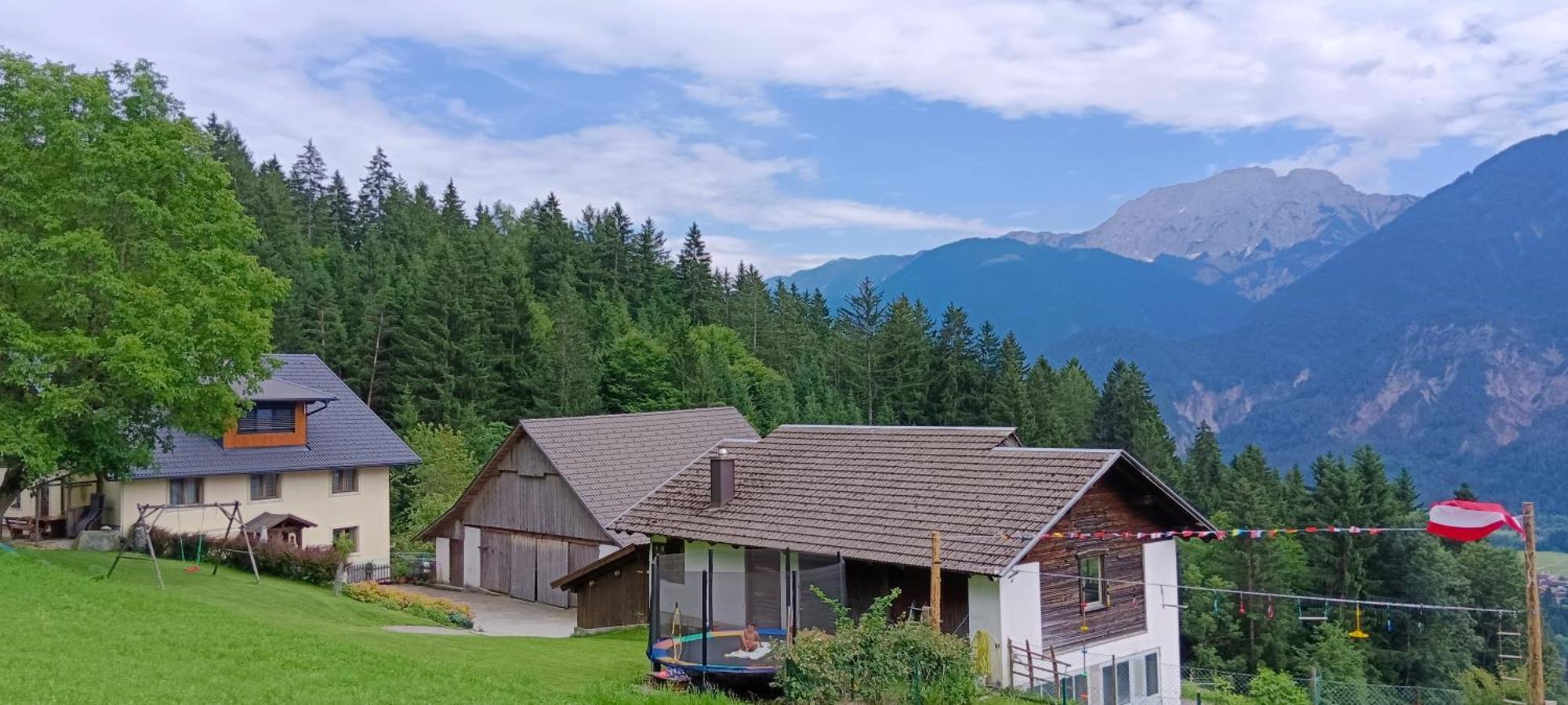 Dellach im DrautalHaus Tonelehof公寓 外观 照片