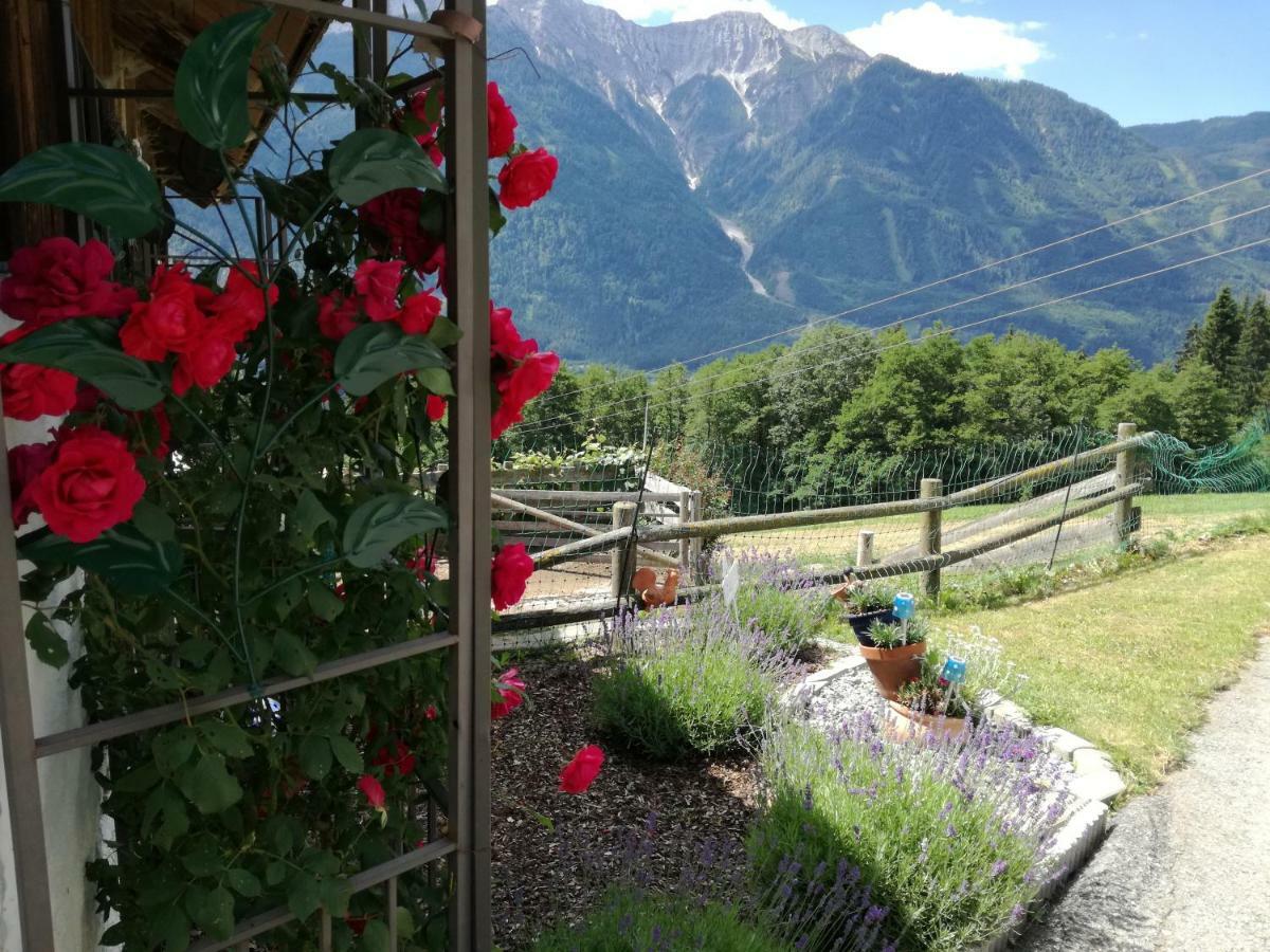 Dellach im DrautalHaus Tonelehof公寓 外观 照片